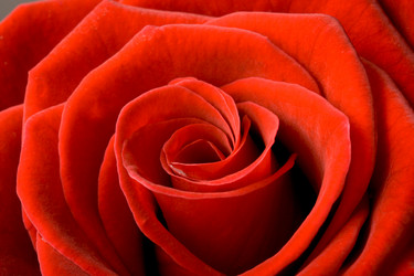 Similar image 218118