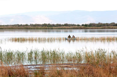 Similar image 218180