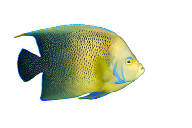 Similar image 218195