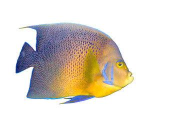 Similar image 218200