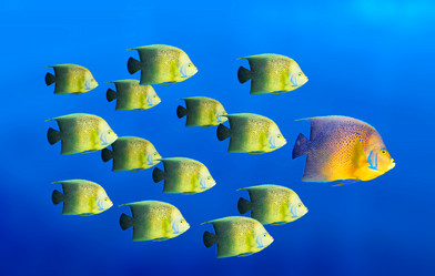 Similar image 218202