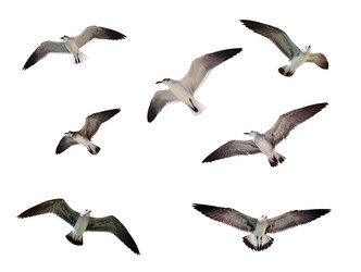 Similar image 218240