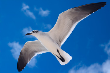 Similar image 218244