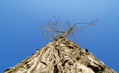 Similar image 218339