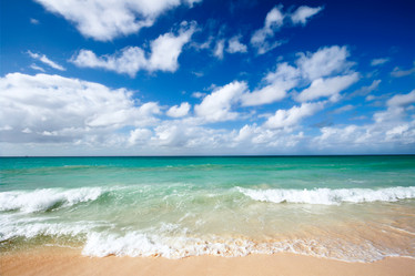 Similar image 218348