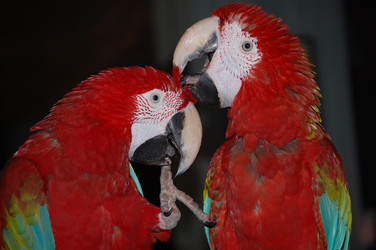 Similar image 218359