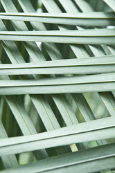 Similar image 218401