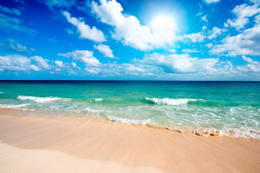 Similar image 218409