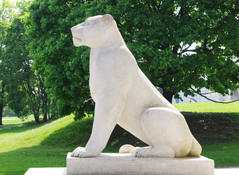 Similar image 218418