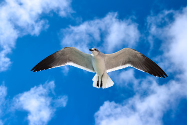 Similar image 218429