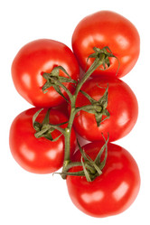 Similar image 218434