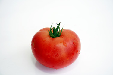 Similar image 218531