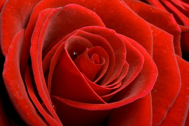 Similar image 218532