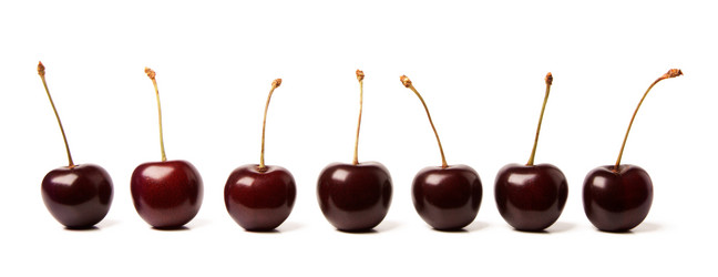 Similar image 218537