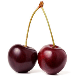 Similar image 218539