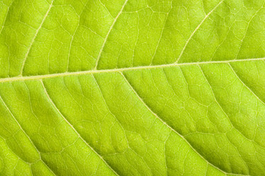 Similar image 218555