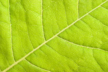 Similar image 218556