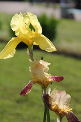 Similar image 218618