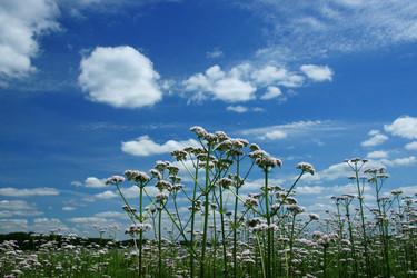 Similar image 218645