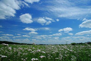 Similar image 218646