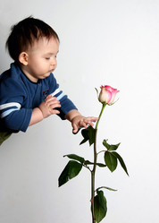 Similar image 218745