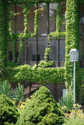 Similar image 218751