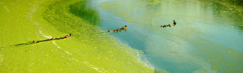 Similar image 218789