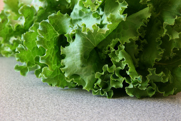 Similar image 218791