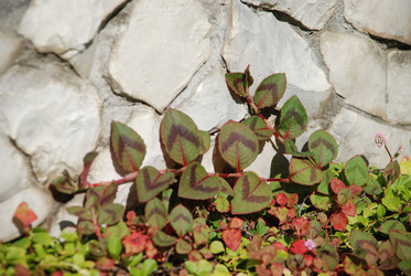 Similar image 218821