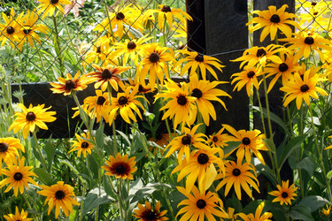 Similar image 218824