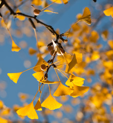 Similar image 218826