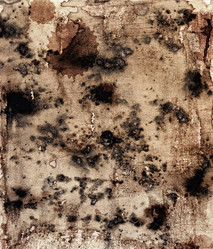 Similar image 218828