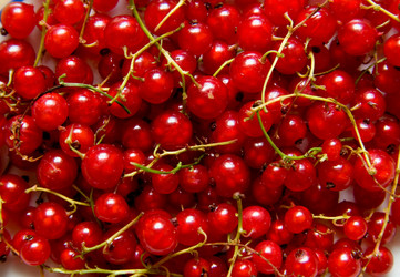 Similar image 218877