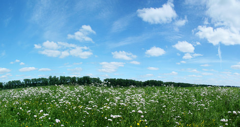 Similar image 218895