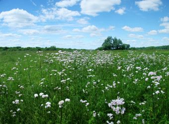 Similar image 218896