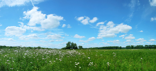 Similar image 218897