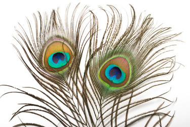 Similar image 218917