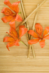 Similar image 218929