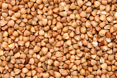 Similar image 218987