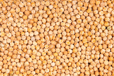 Similar image 218999