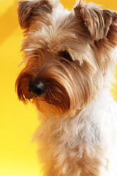 Similar image 219019