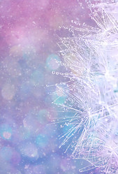 Similar image 219021