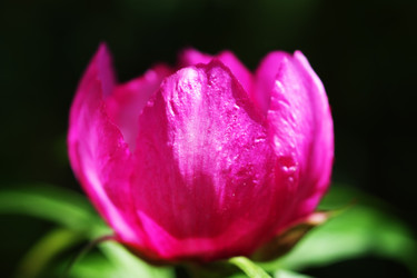 Similar image 219026