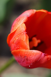 Similar image 219028