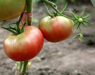 Similar image 219034