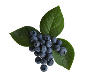 Similar image 219043