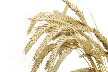 Similar image 219047