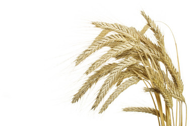 Similar image 219048