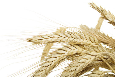 Similar image 219050