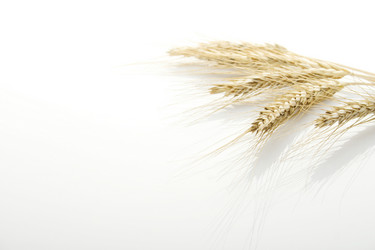 Similar image 219051